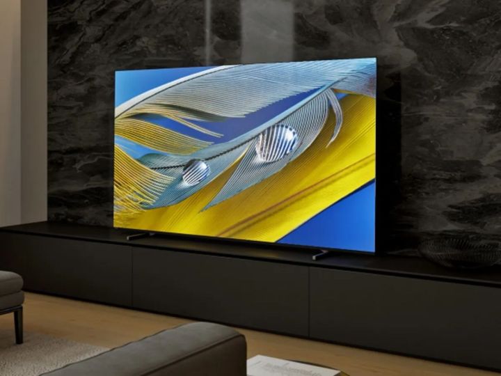거실의 55인치 Sony Bravia OLED TV.