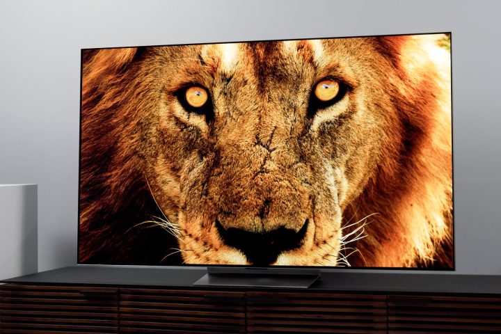 LG G2 올레드 TV 화면에 사자 얼굴.