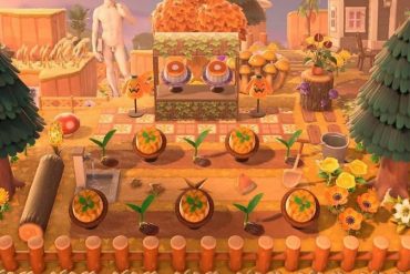 Growing pumpkins in Animal Crossing: New Horizons (Image via u/Lazerwitch on Reddit)
