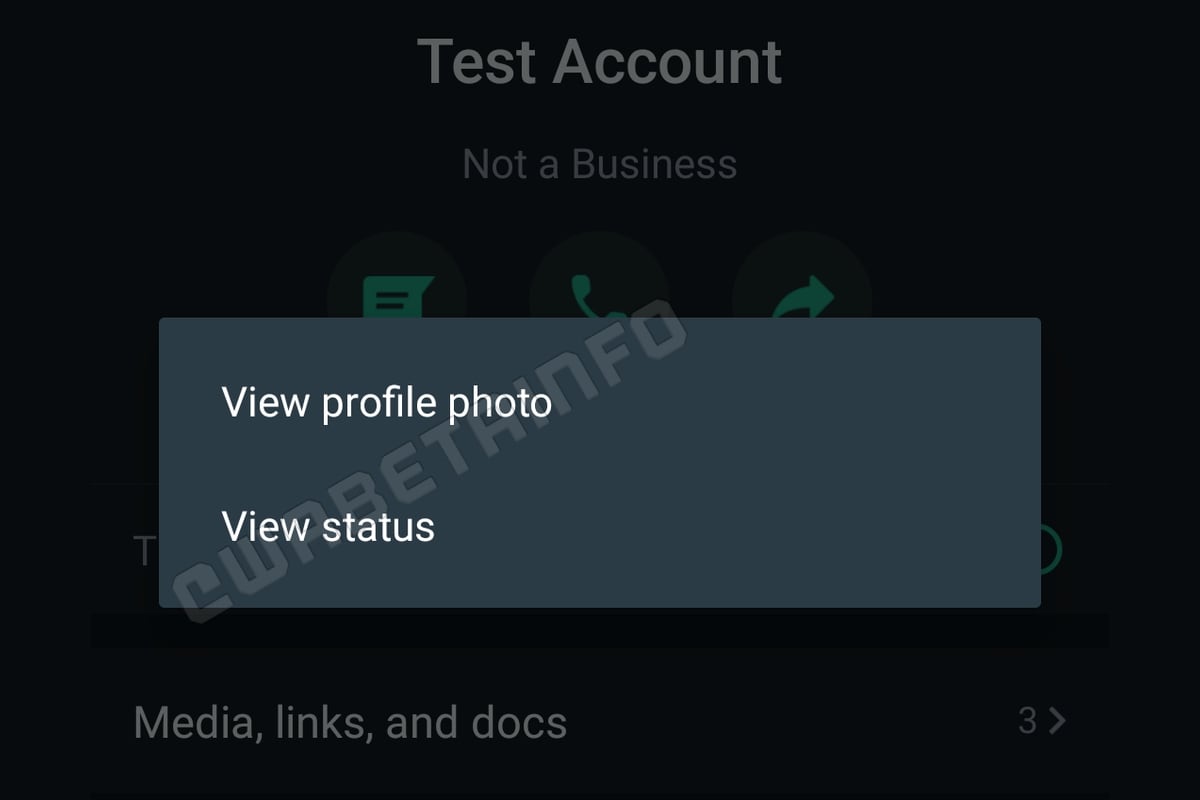 WhatsApp Business Gets Option to Show Status Update Through Profile Picture: Report