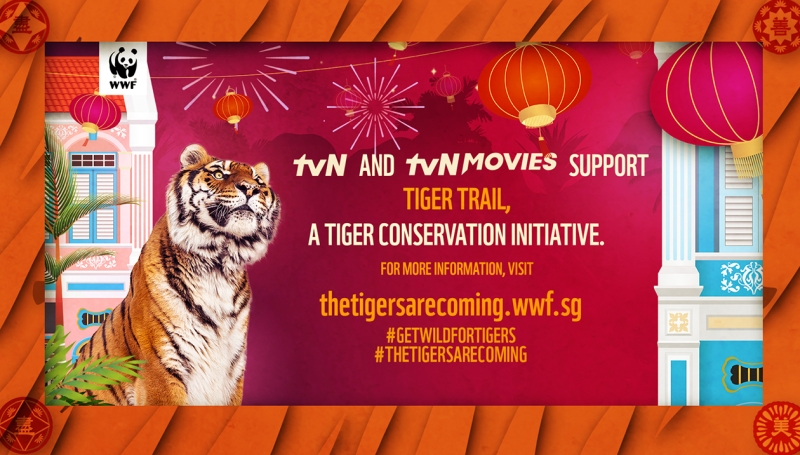 WWF SG는 tvN 및 tvN 영화와 협력하여 아시아에서 tger 보존에 대한 회의를 주도합니다.