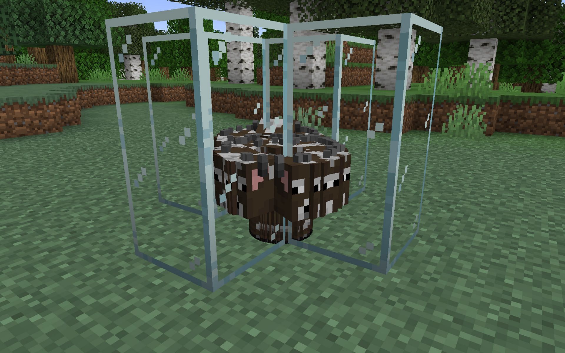 Entity cramming to create farms (Image via Minecraft)