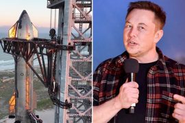 Did Elon Musk Seek Inspiration From